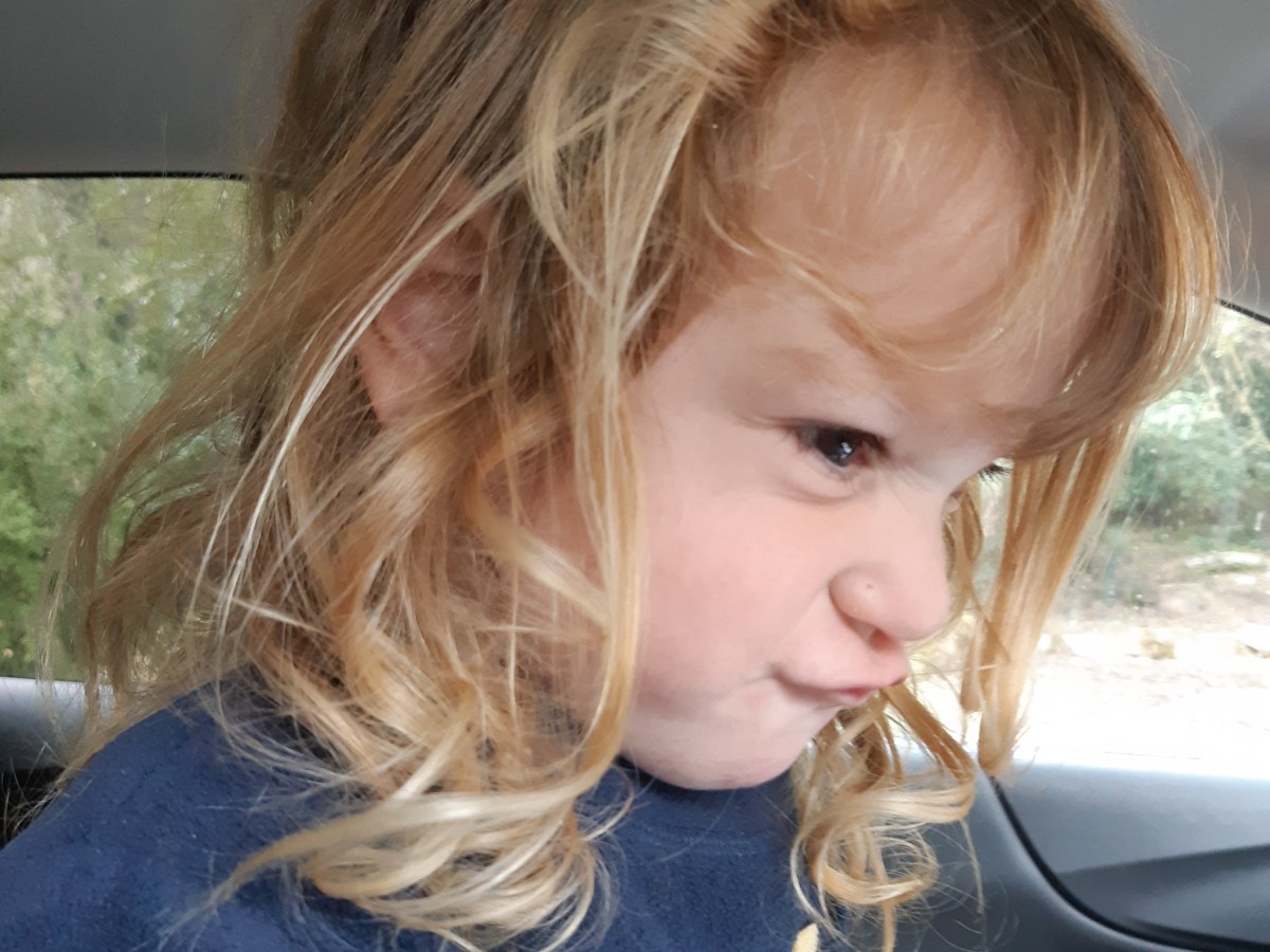 קיבלתי דו"ח על&nbsp;מהירות