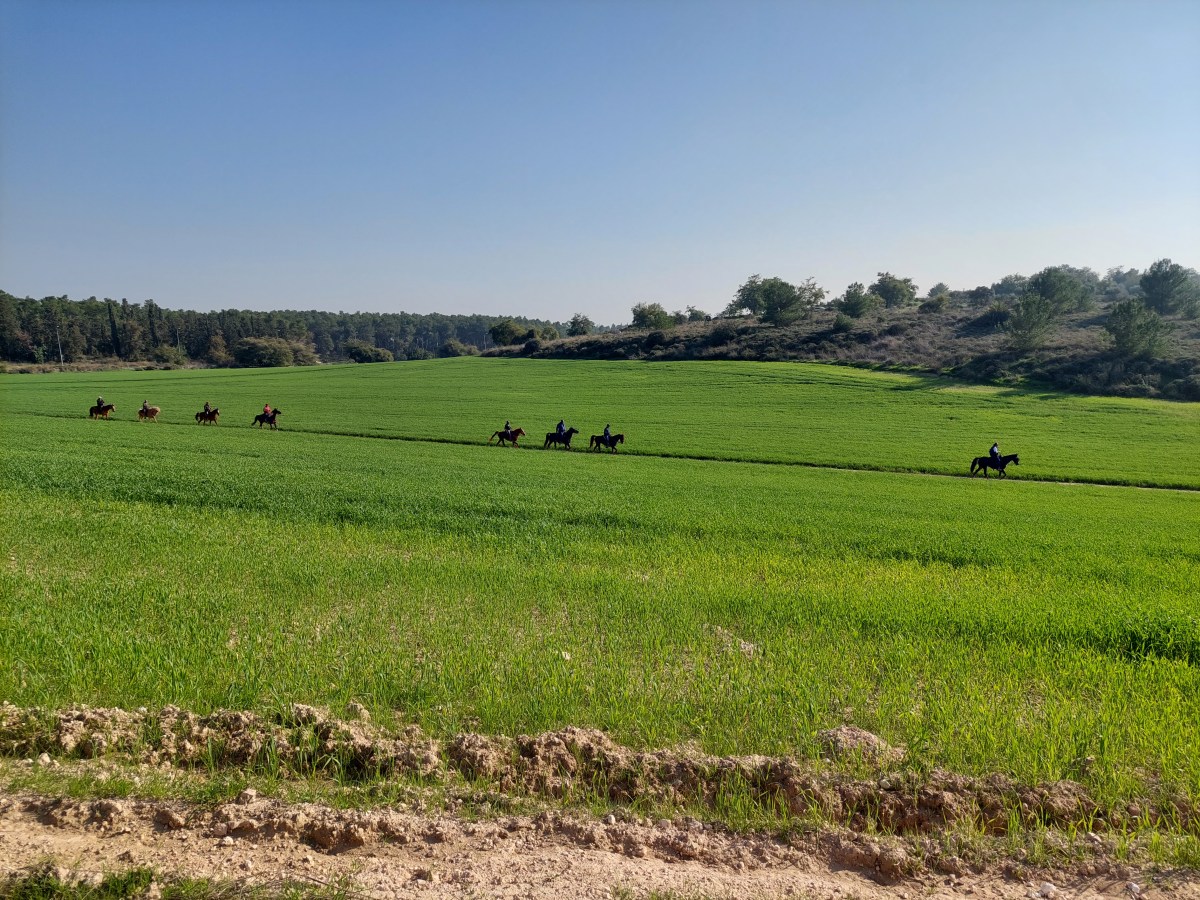 להתחיל את היום…