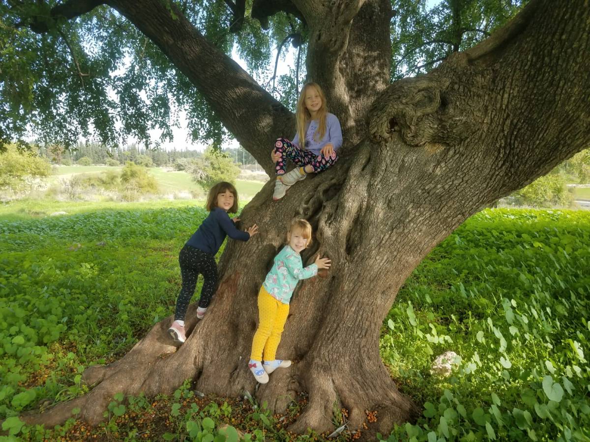 איך לשדרג טיול&nbsp;בטבע