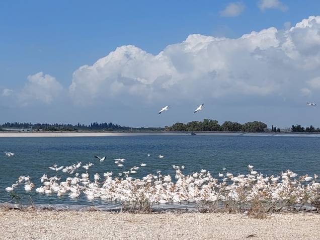 יום טיול כיפי במיוחד באזור עמק&nbsp;חפר