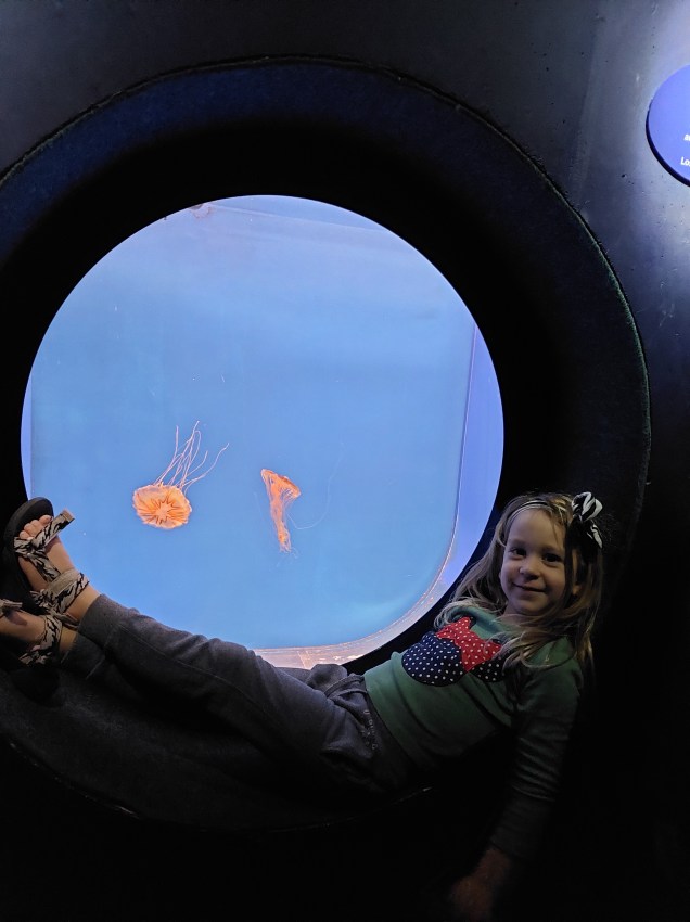 אקווריום ישראל בירושלים