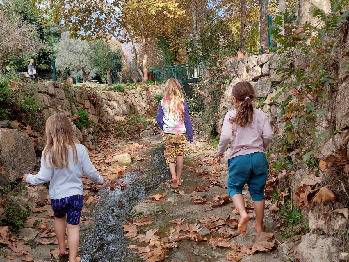 סתיו בעין חמד