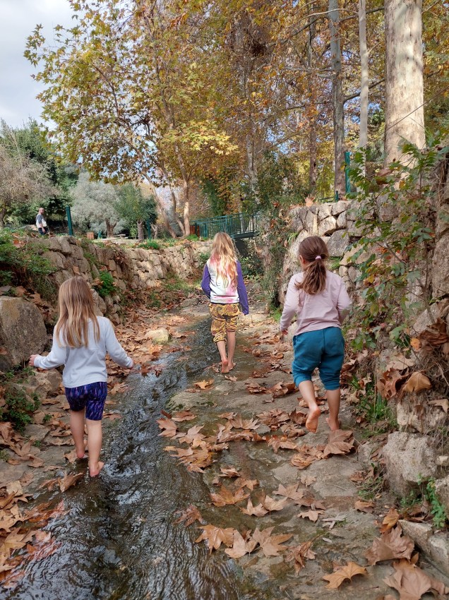 סתיו בעין חמד