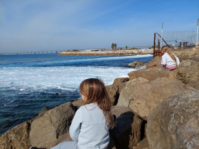 צפיה בכרישים בים&nbsp;התיכון