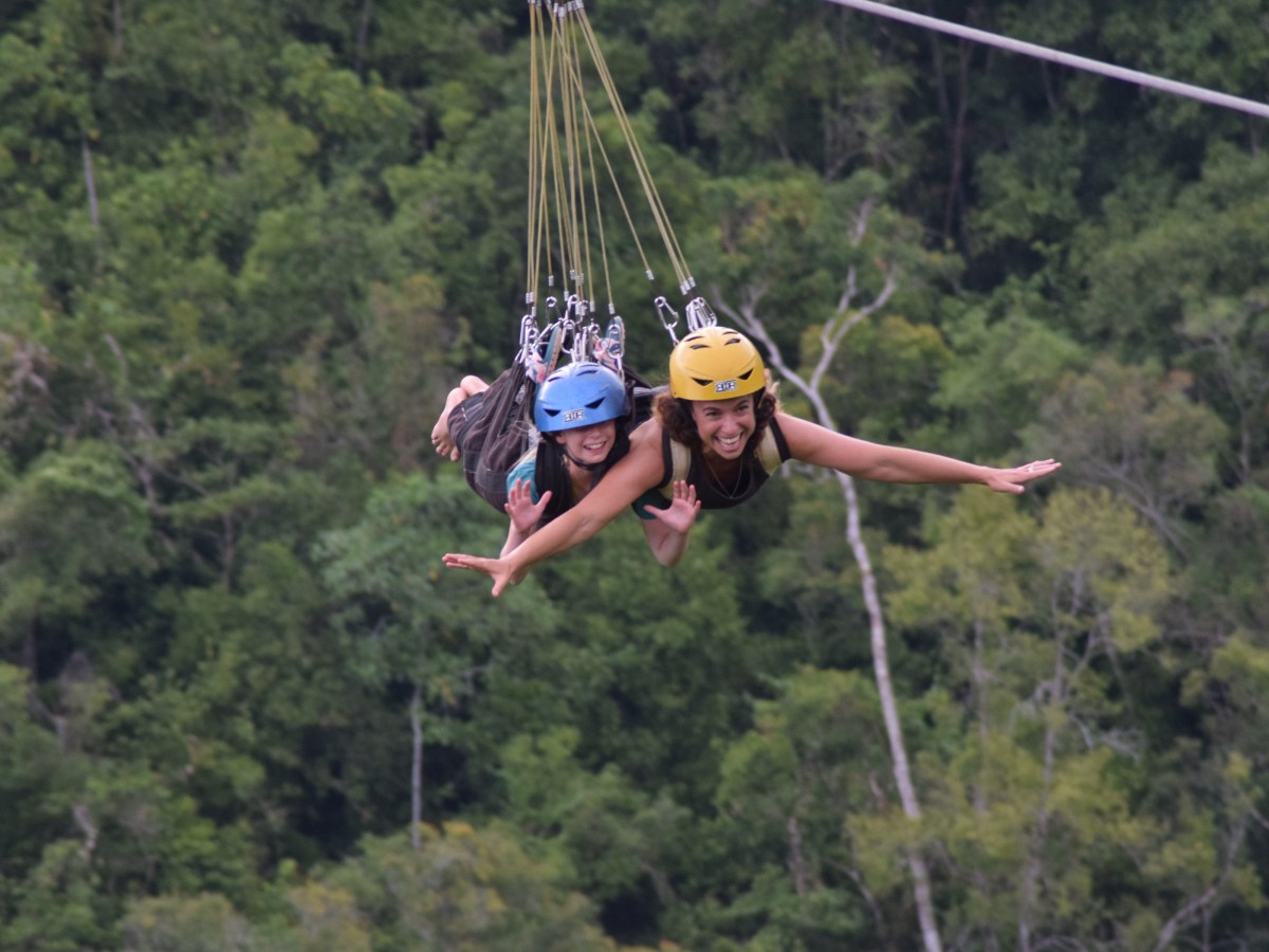קמיגין, סבו, בוהול, והמלצה על&nbsp;ספר.